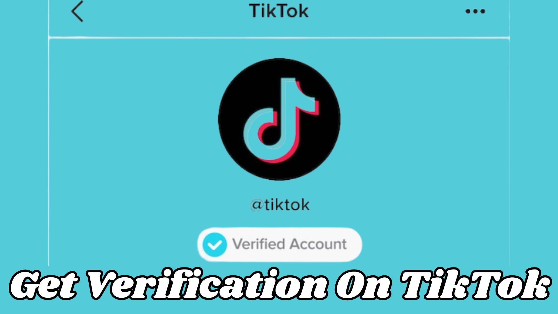 Get Verification On TikTok